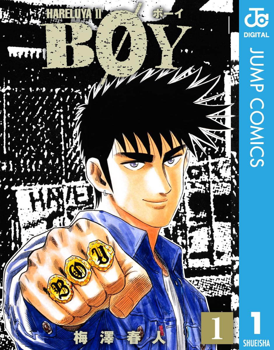 【100円:5/31】BOY（全20巻）